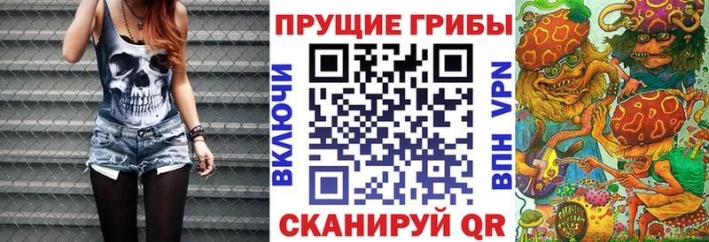 Псилоцибиновые грибы мухоморы Купить где Камень-на-Оби