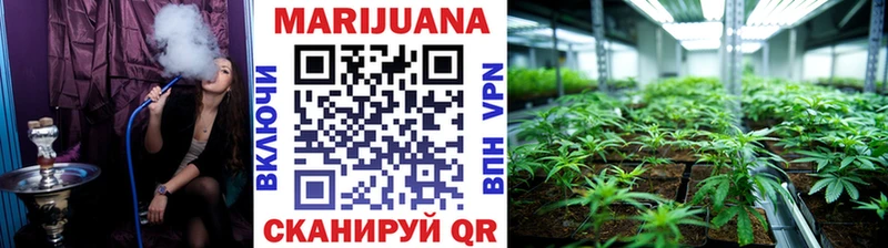 Купить где Камень-на-Оби Конопля конопля
